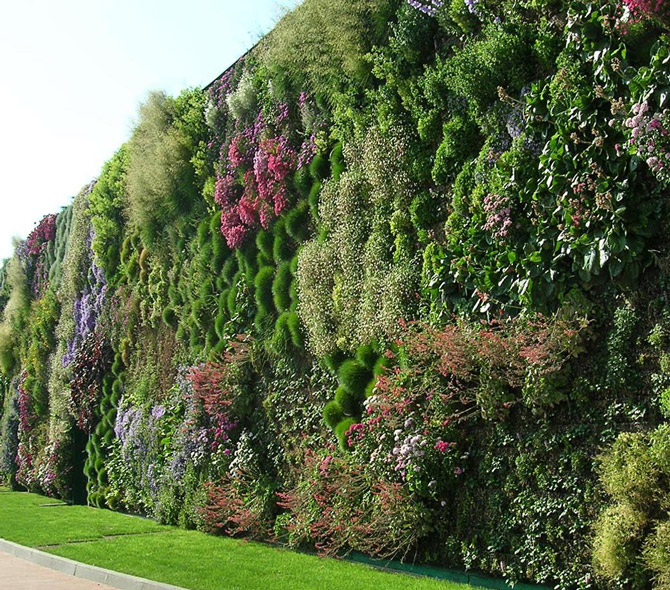 Giardino verticale terapeutico